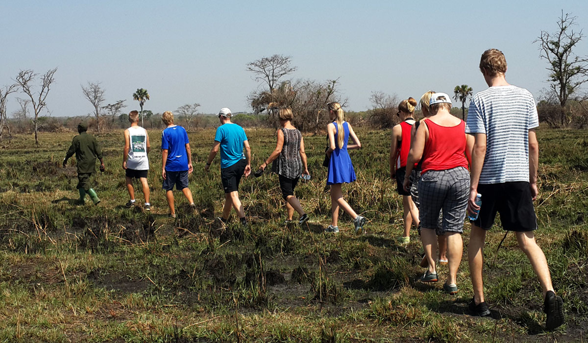 Do I Need Special Permits for a Walking Safari in Uganda?