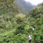 Can I Combine Birding Safaris with Chimpanzee Tracking?