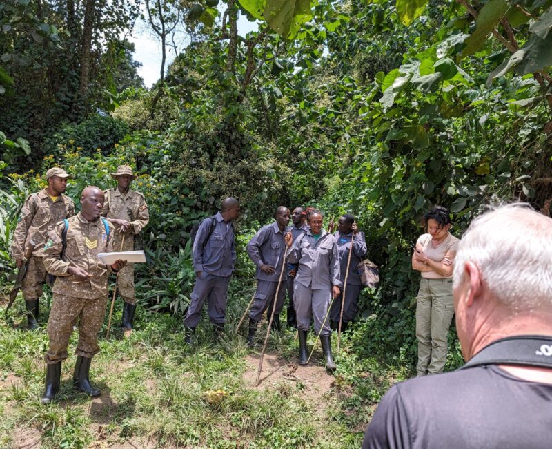 Can Birding Safaris Be Combined with Gorilla Trekking?