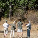 Walking-Safaris