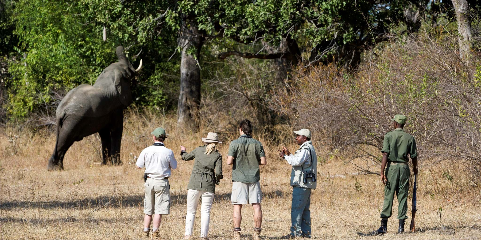Walking-Safaris