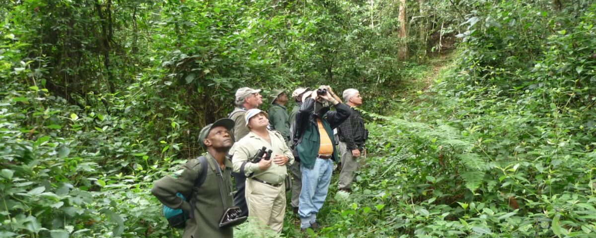 Are Local Bird Guides Available in Uganda?