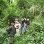 Are Local Bird Guides Available in Uganda?
