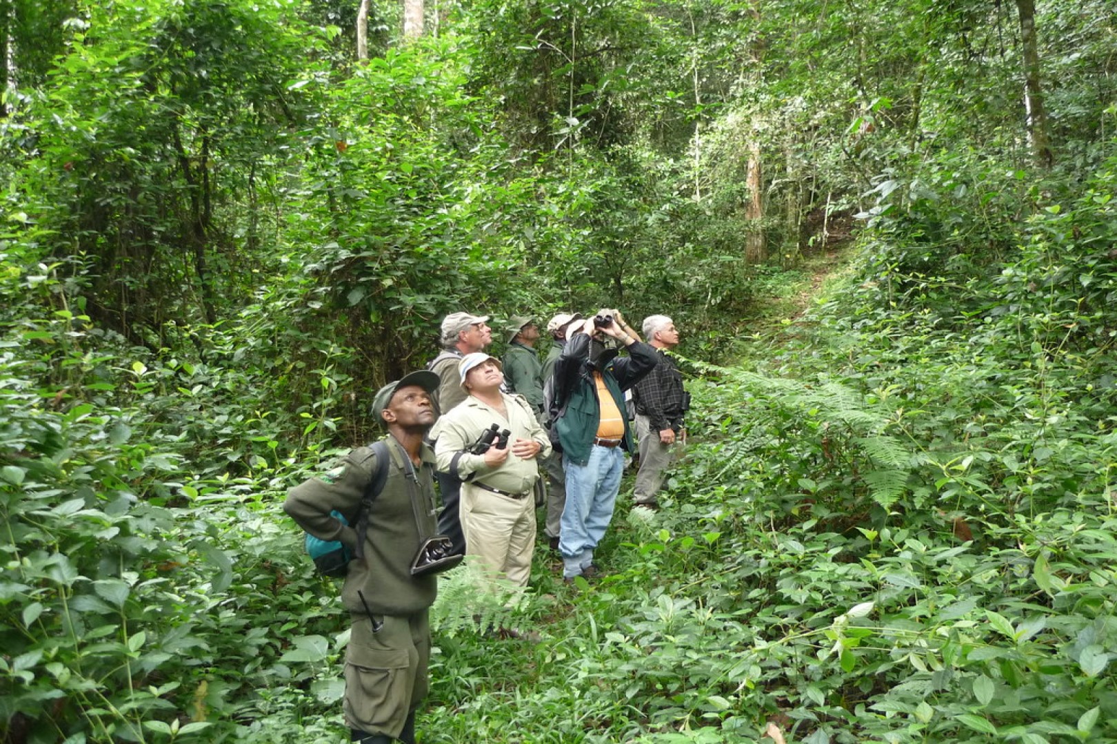 Are Local Bird Guides Available in Uganda?