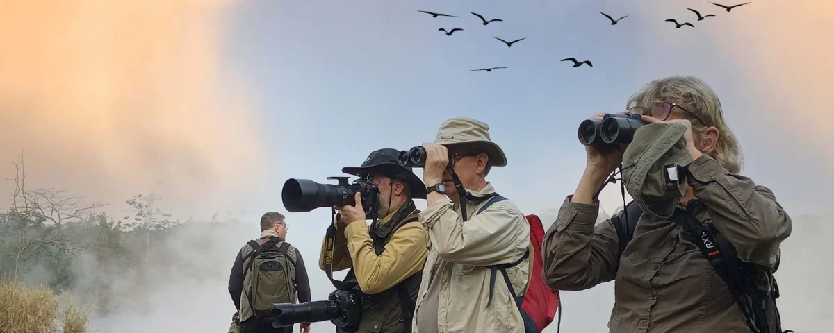 Birding Safaris Guided by Professional Ornithologists