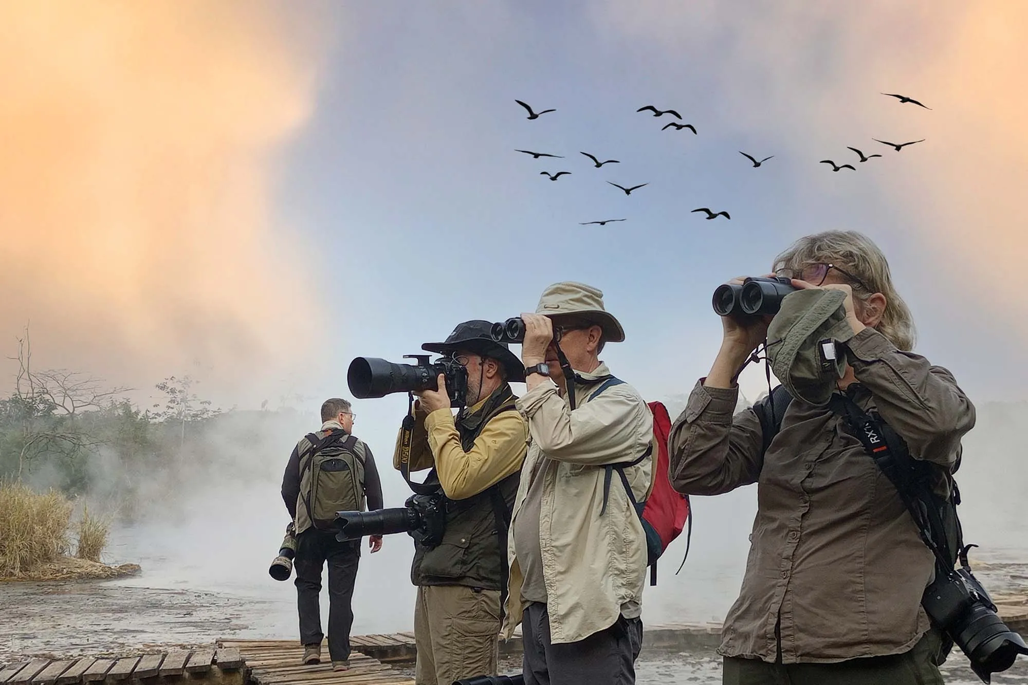 Birding Safaris Guided by Professional Ornithologists