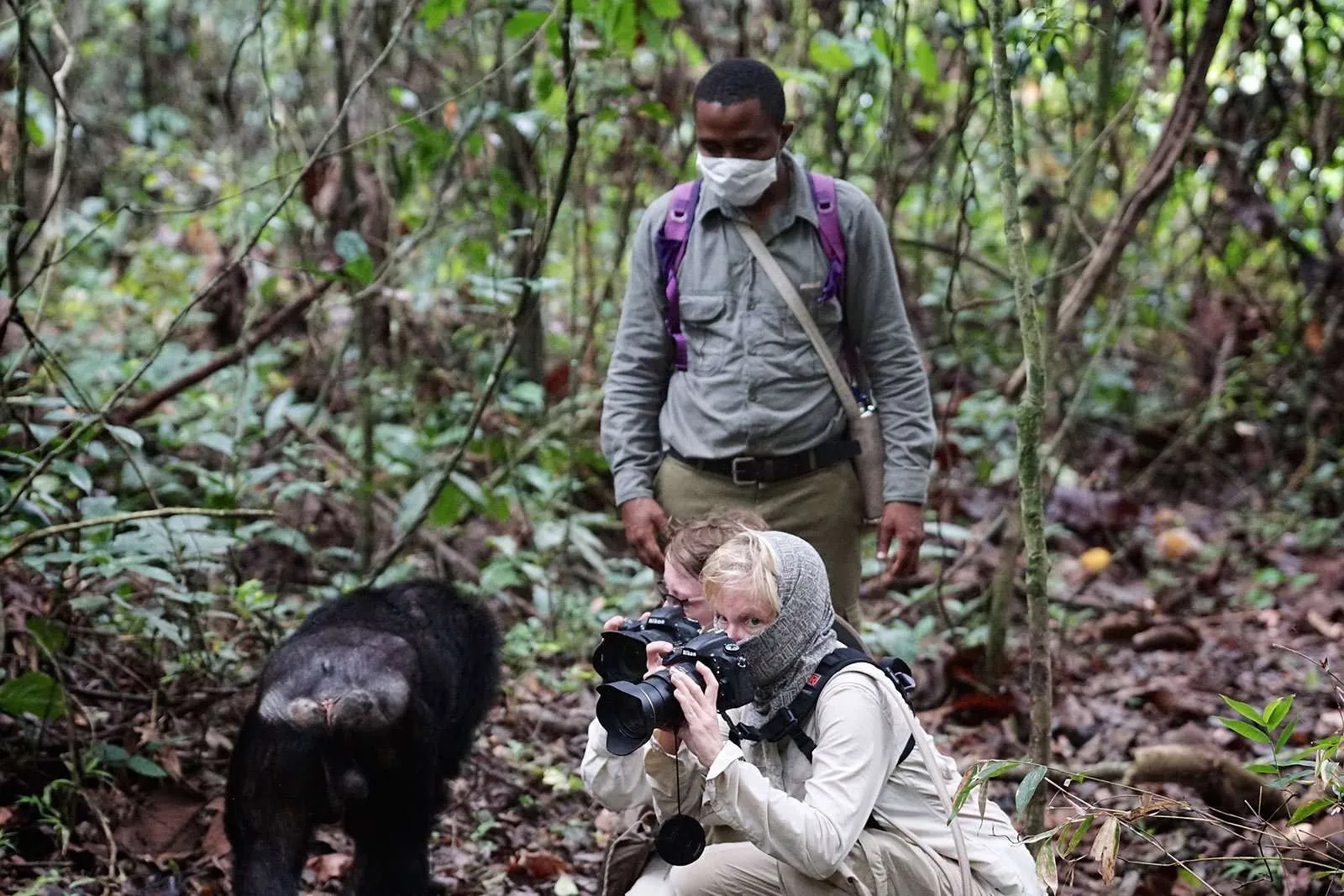 Are Professional Guides Available for Chimpanzee Tracking?