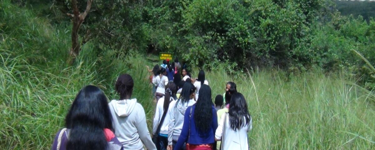 Can I Do a Walking Safari in Murchison Falls National Park?