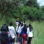 Can I Do a Walking Safari in Murchison Falls National Park?