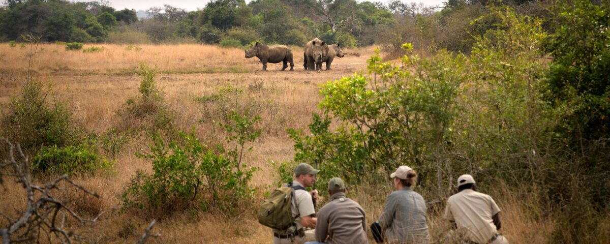 How Long Should I Plan for a Wildlife Safari in Kenya?