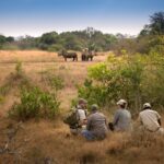 How Long Should I Plan for a Wildlife Safari in Kenya?
