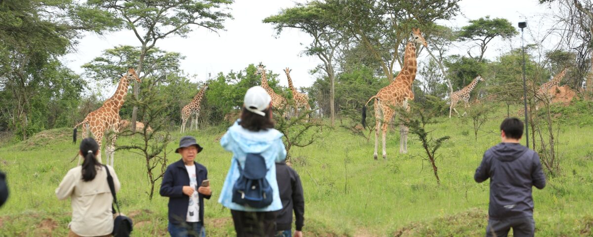 Are Children Allowed on Walking Safaris in Uganda?