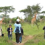 Are Children Allowed on Walking Safaris in Uganda?