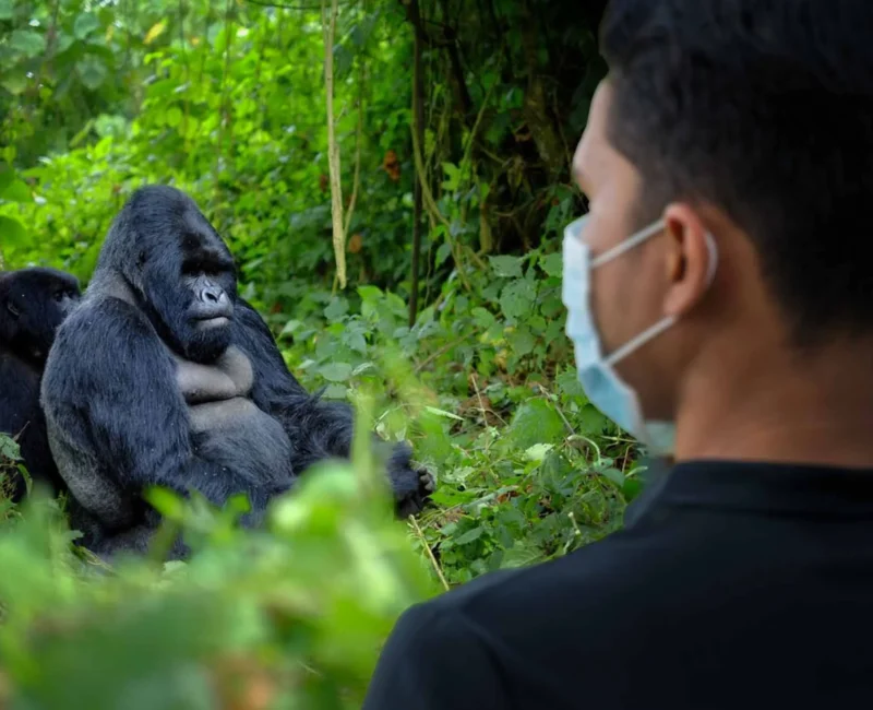 Are Health Measures Different for Primate-Focused Safaris?