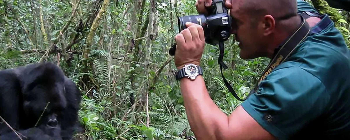 Can I Photograph Gorillas During a Gorilla Trekking