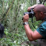 Can I Photograph Gorillas During a Gorilla Trekking