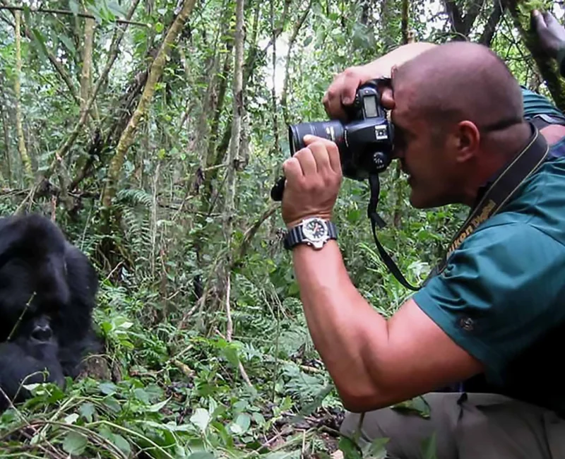 Can I Photograph Gorillas During a Gorilla Trekking