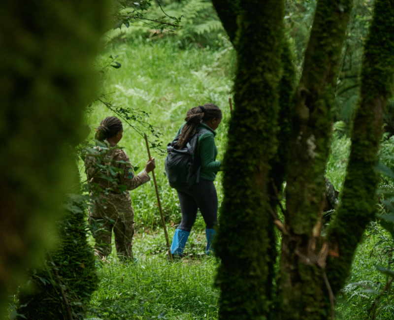 Do Walking Safaris Support Conservation in Uganda?