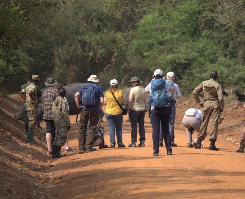 Do Walking Safaris in Uganda Cover Cultural Encounters?