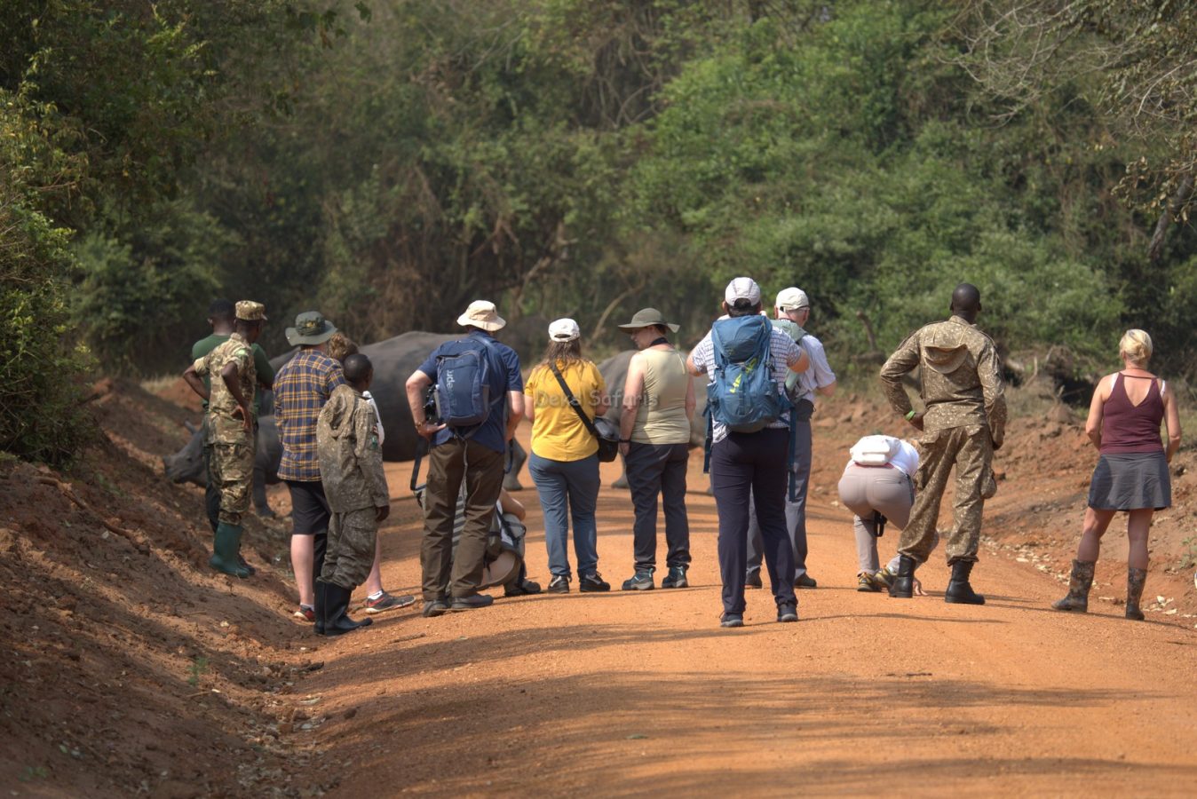 Do Walking Safaris in Uganda Cover Cultural Encounters?