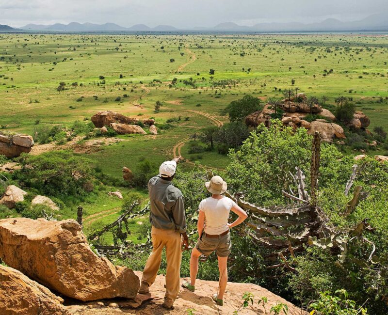 Do Walking Safaris in Uganda Include Birding Opportunities?