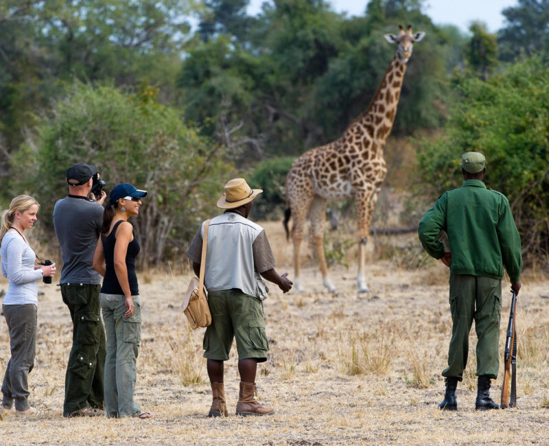 Are Kenya Safaris Safe for First-Time Travellers?