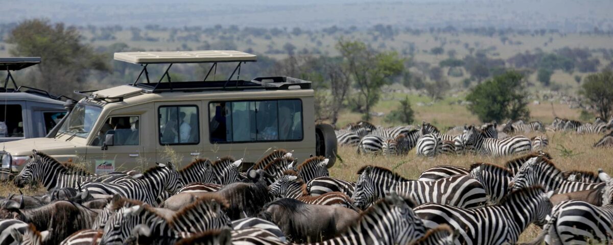 How Crowded Are the Parks During Peak Migration Season