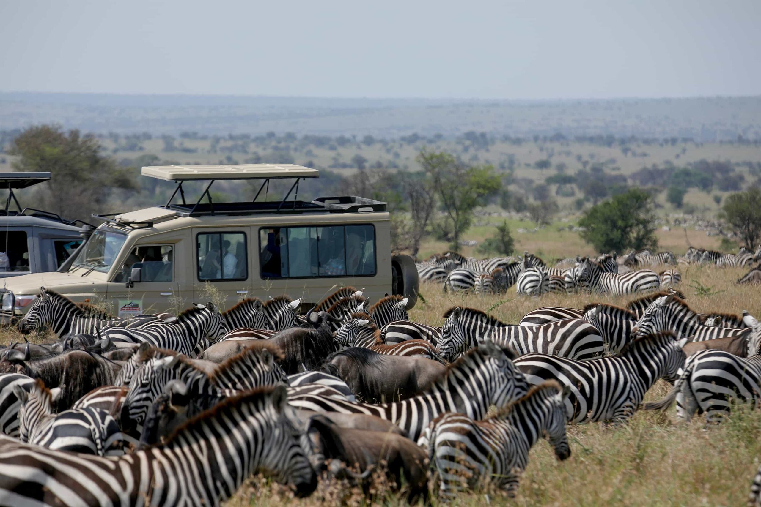 How Crowded Are the Parks During Peak Migration Season