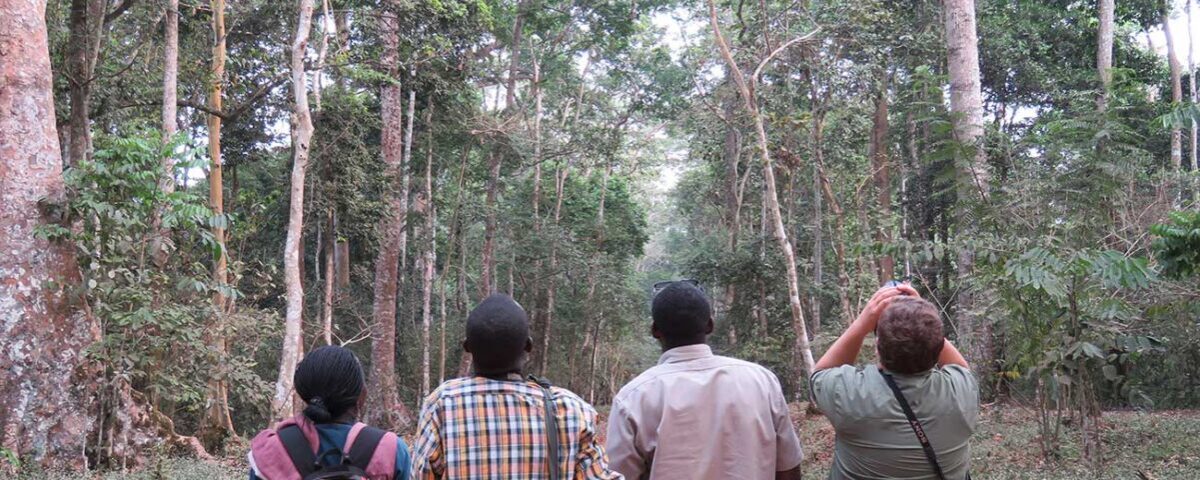 How Do I Book a Walking Safari in Uganda?