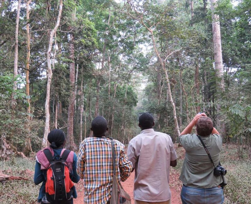 How Do I Book a Walking Safari in Uganda?