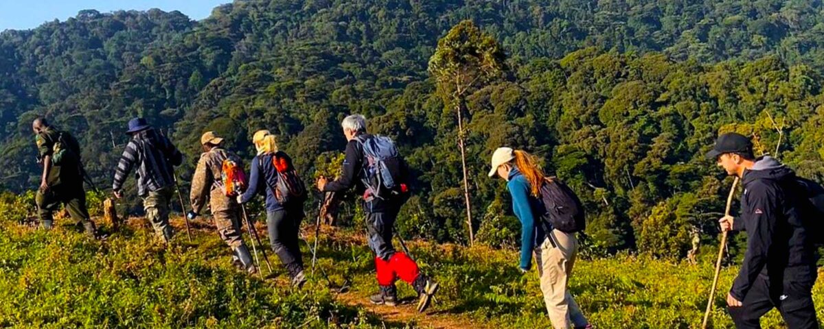 What Fitness Level is Required for a Walking Safari in Uganda?