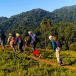 What Fitness Level is Required for a Walking Safari in Uganda?