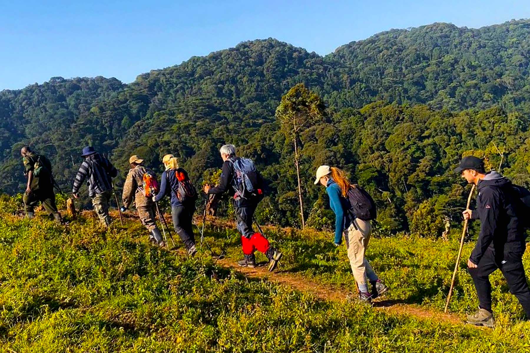 What Fitness Level is Required for a Walking Safari in Uganda?