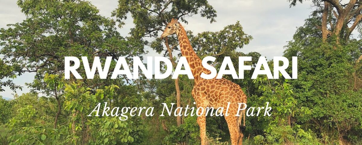 Is Akagera National Park Worth Visiting in Rwanda