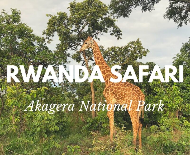 Is Akagera National Park Worth Visiting in Rwanda