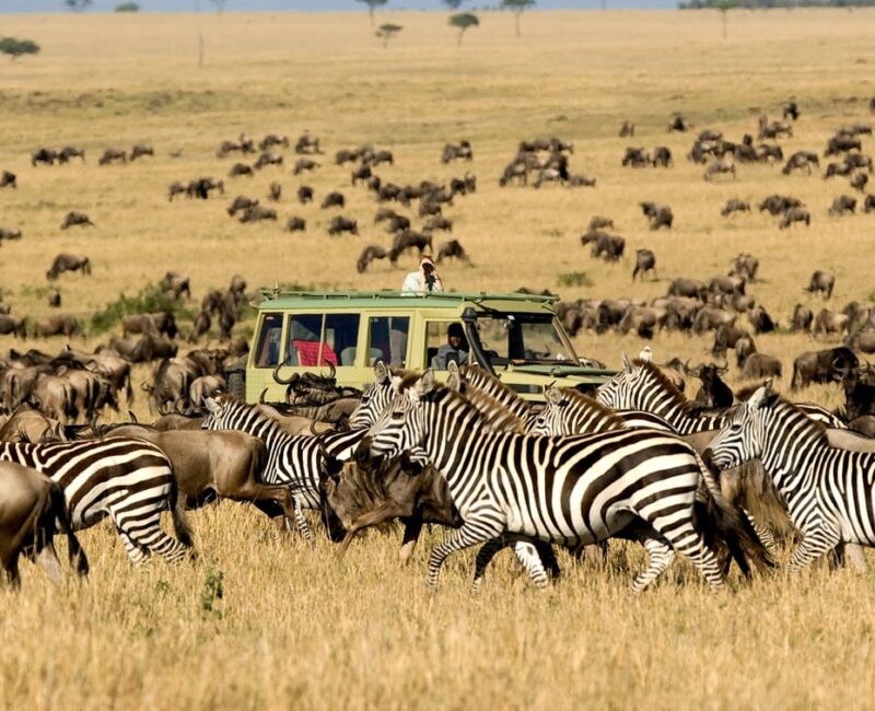 Is It Better to Fly or Drive Between Parks During the Great