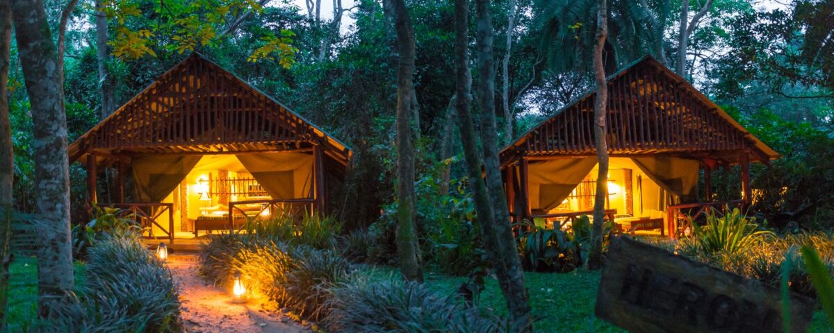 What Are the Best Lodges for Wildlife Safaris in Uganda?
