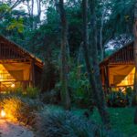 What Are the Best Lodges for Wildlife Safaris in Uganda?