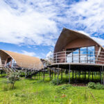 What Are the Best Lodges for Wildlife Safaris in Tanzania?