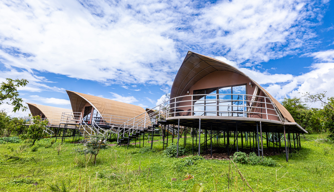 What Are the Best Lodges for Wildlife Safaris in Tanzania?