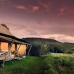 What Are the Best Lodges for Wildlife Safaris in Kenya?