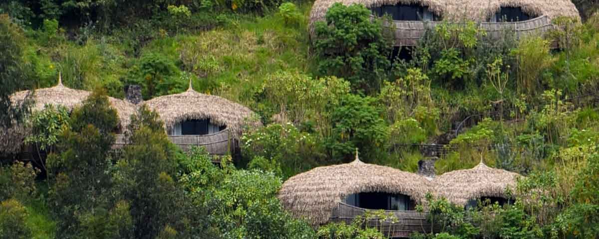 What Are the Best Lodges for Wildlife Safaris in Rwanda?
