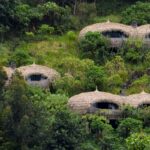 What Are the Best Lodges for Wildlife Safaris in Rwanda?