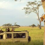 What Is the Best Time for Game Drives in Tanzania?