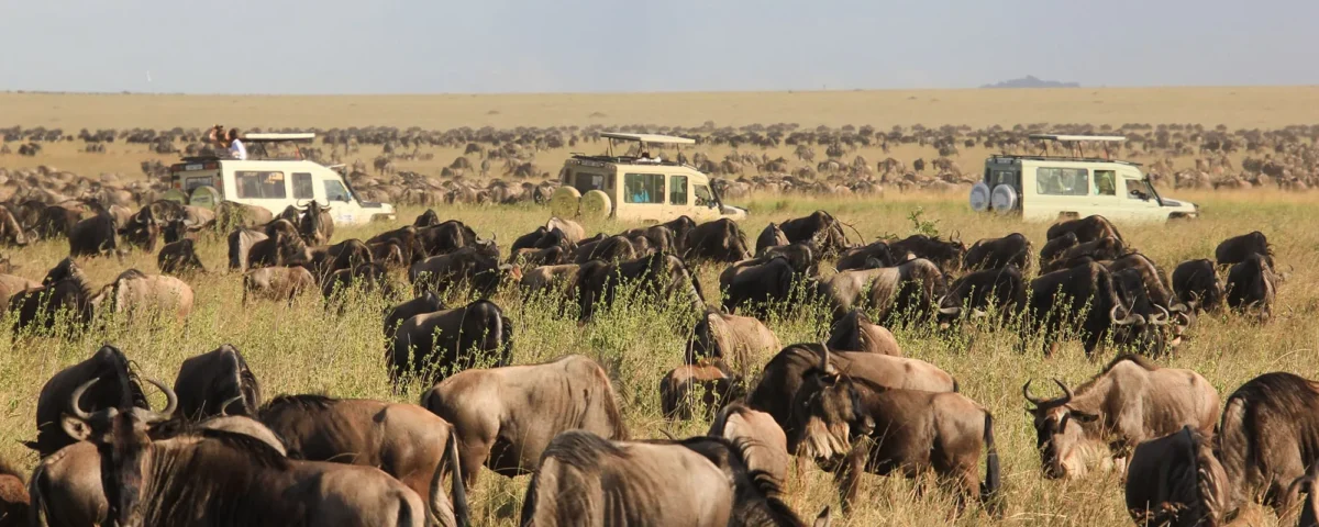 What Makes Maasai Mara One of Kenya’s Best Safari Destinations?
