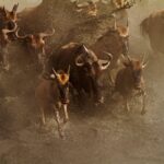 What is the Great Migration in East Africa?