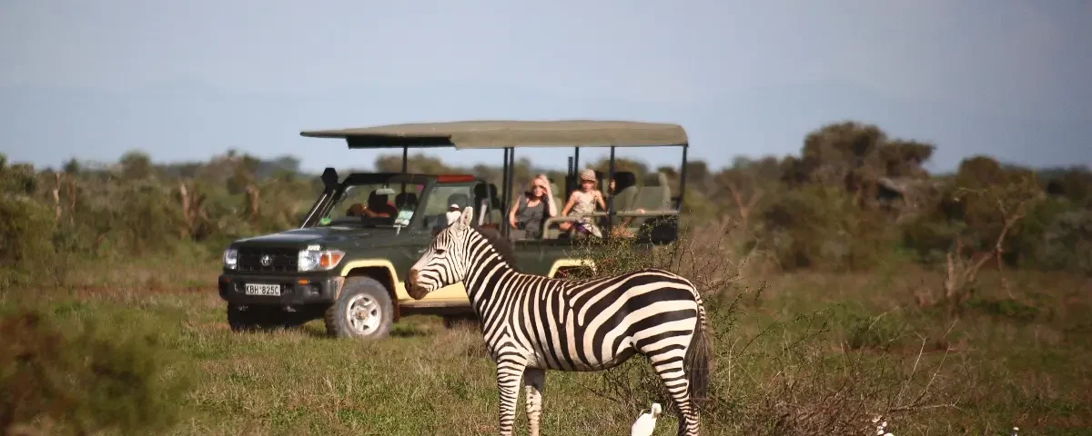 Are Family-Friendly Safaris Offered in Amboseli?