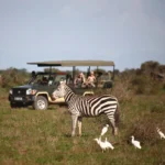 Are Family-Friendly Safaris Offered in Amboseli?