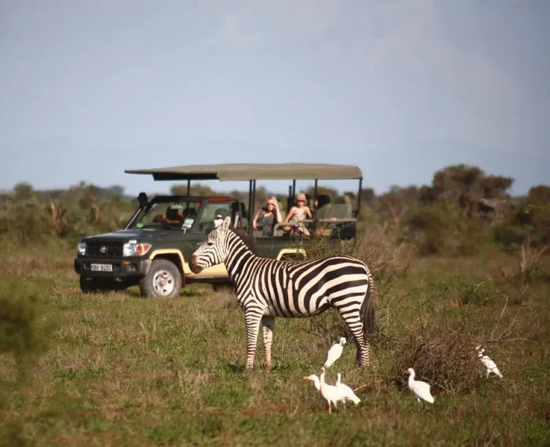 Are Family-Friendly Safaris Offered in Amboseli?