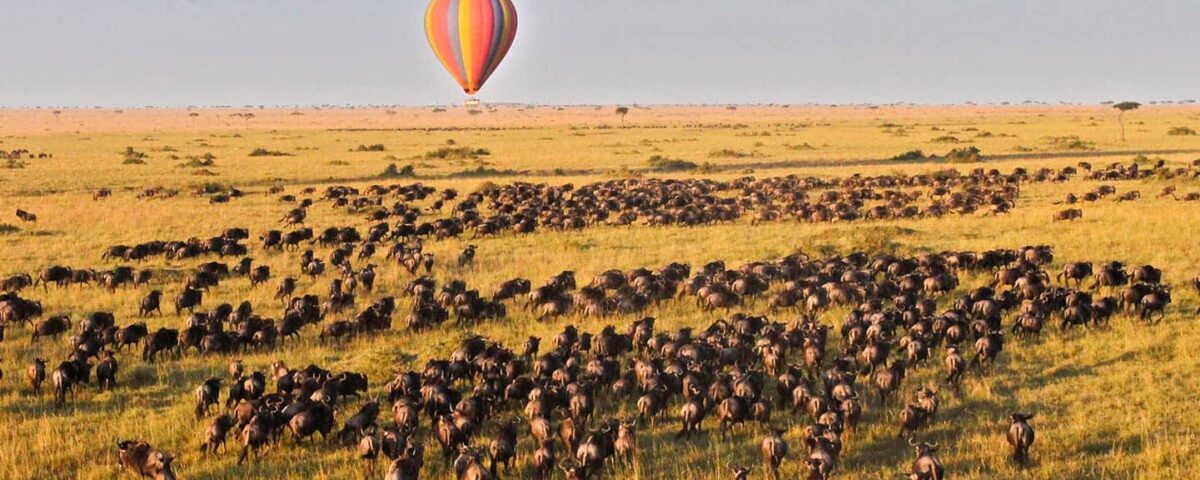 Can I Do a Hot Air Balloon Safari Over Maasai Mara?
